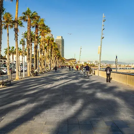 Kronos On The 2 * Barcelona
